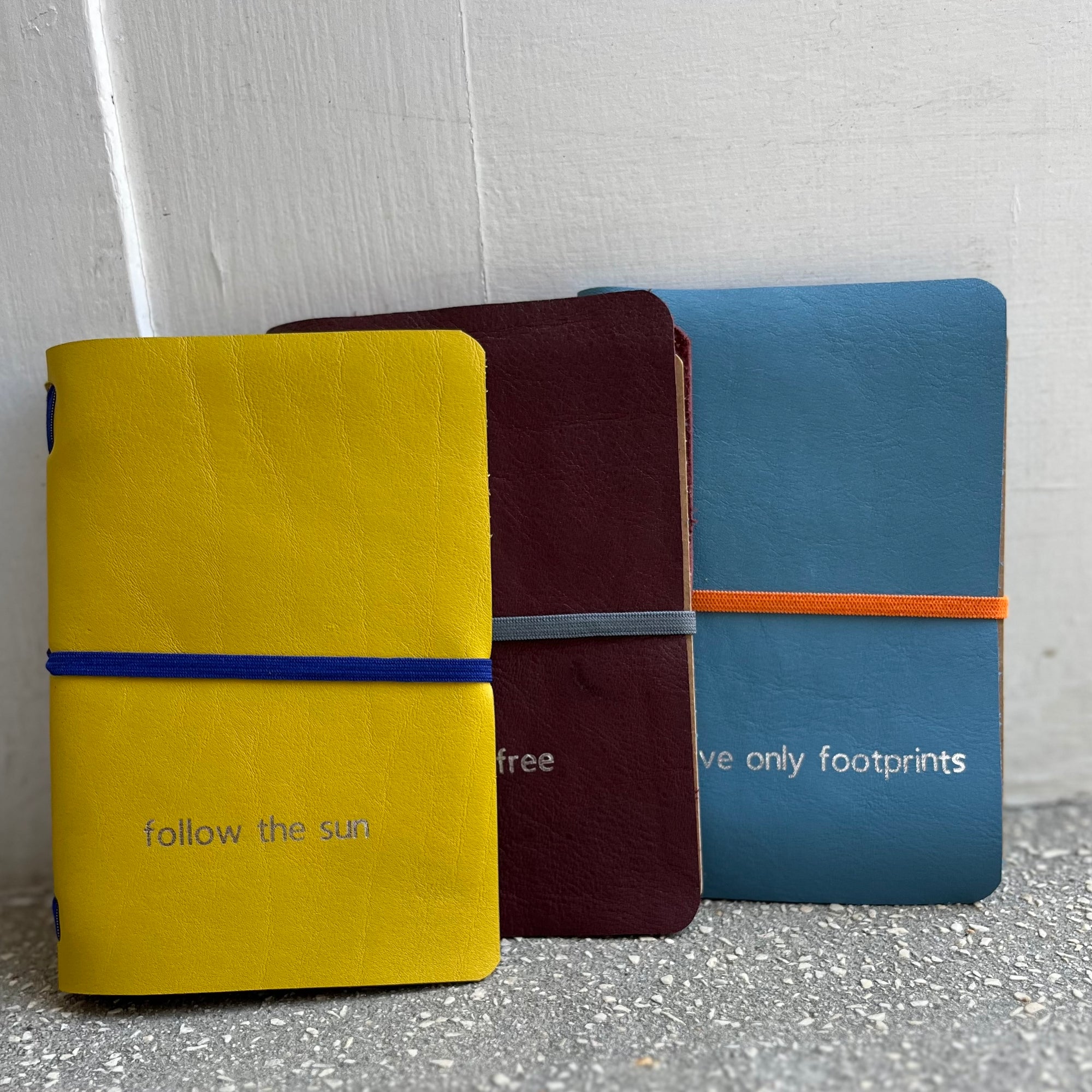 Daily Roam Journal